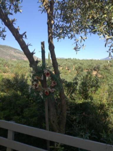 Sunny Holiday Home Kalamata Bagian luar foto