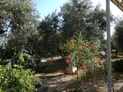 Sunny Holiday Home Kalamata Bagian luar foto