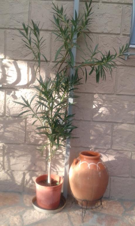 Sunny Holiday Home Kalamata Bagian luar foto